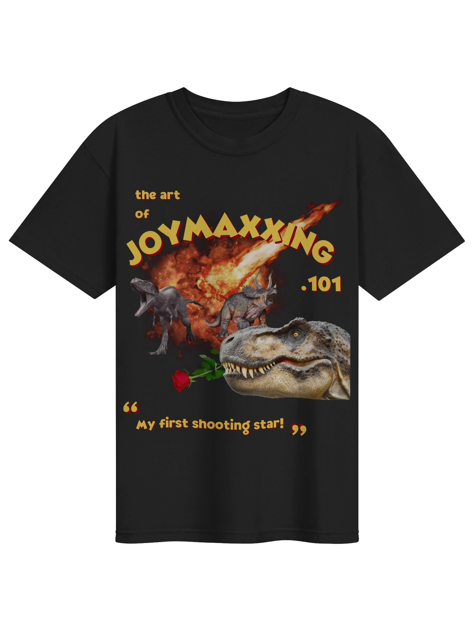 JOYMAXXING product image (1)