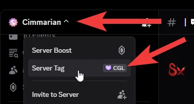 Server Tag