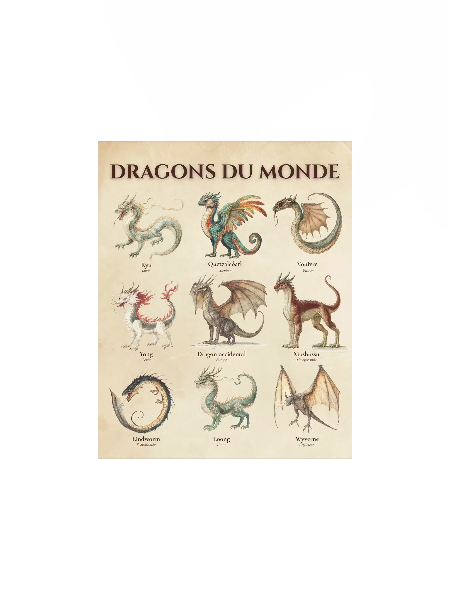 Poster Dragons du Monde