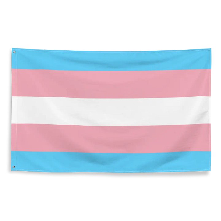 Transgender Flag product image (2)
