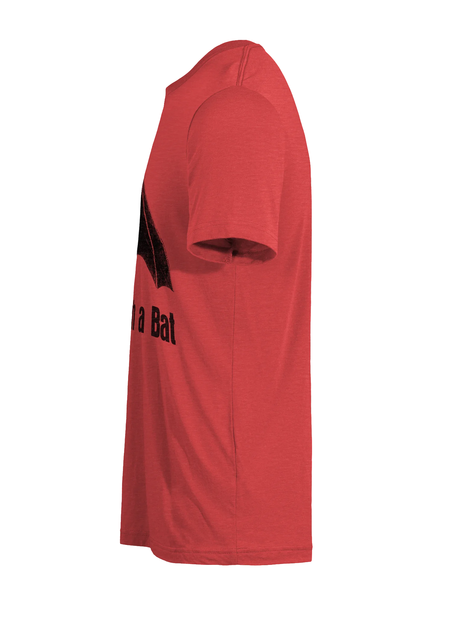 Never Touch a Bat (triblend) product image (11)