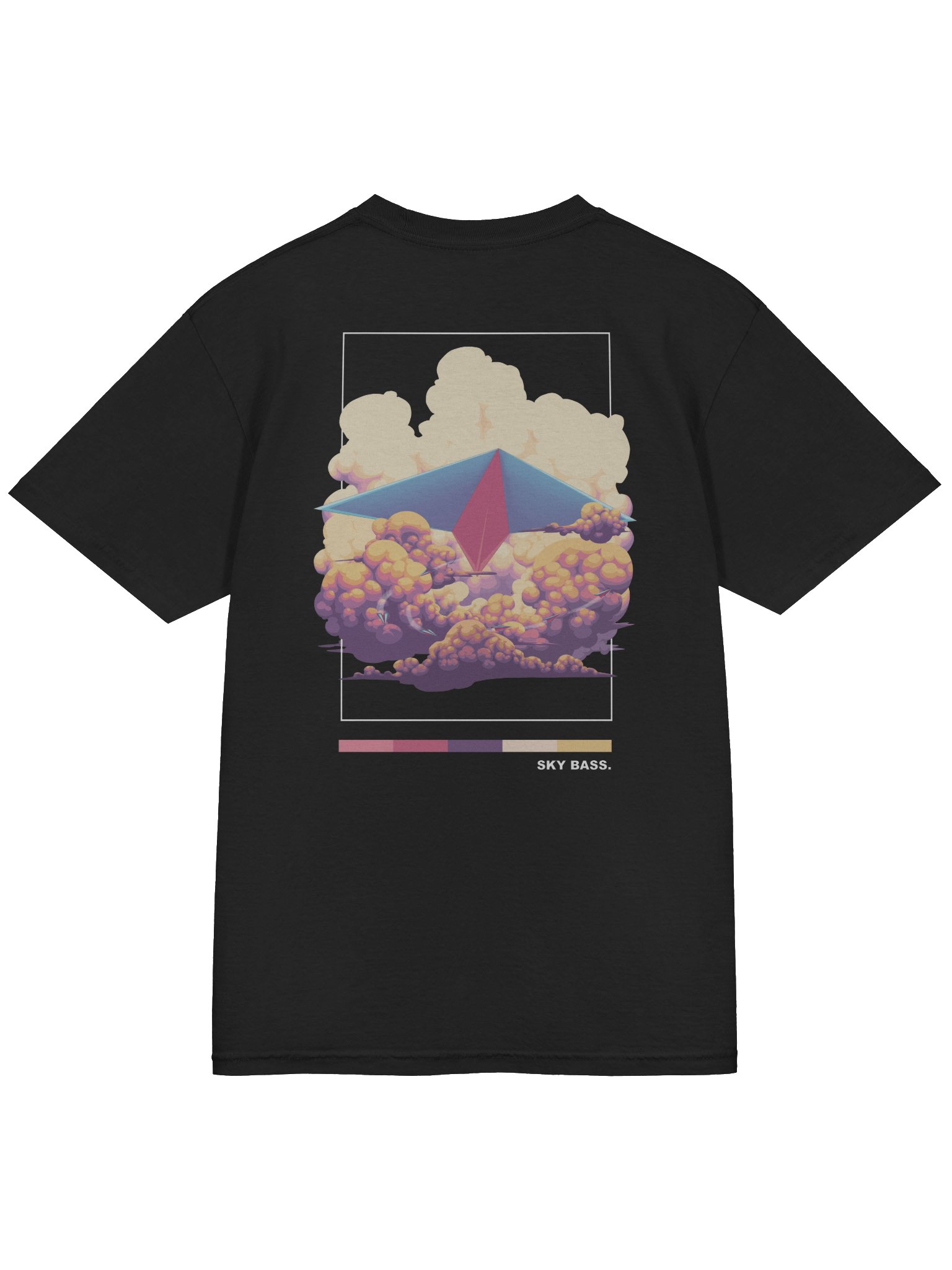 SKY BASS AIRPLANE BACKPRINT product image (4)