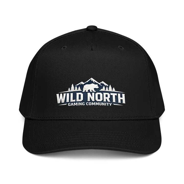 Wild North Ball Cap product image (1)