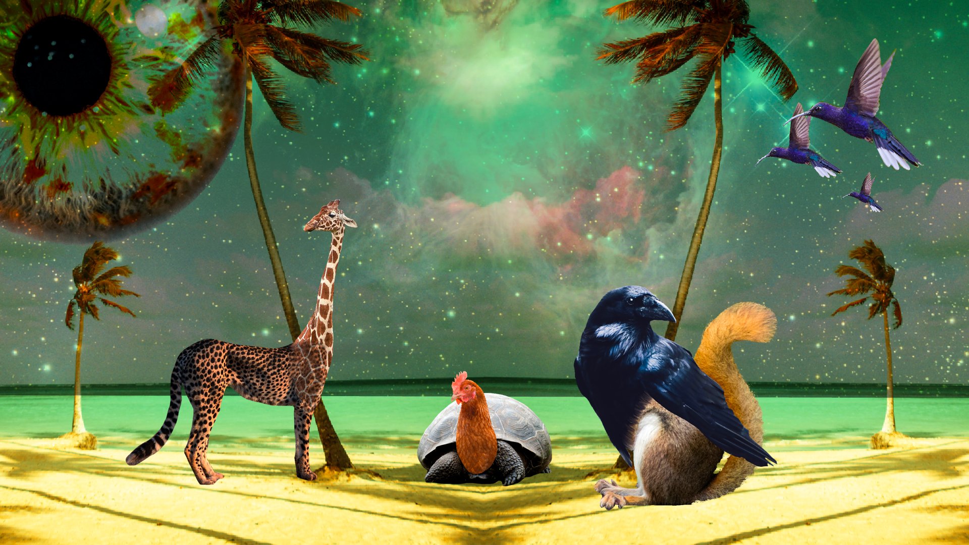 Even more Wallpapers from On-Stream Collage product image (3)