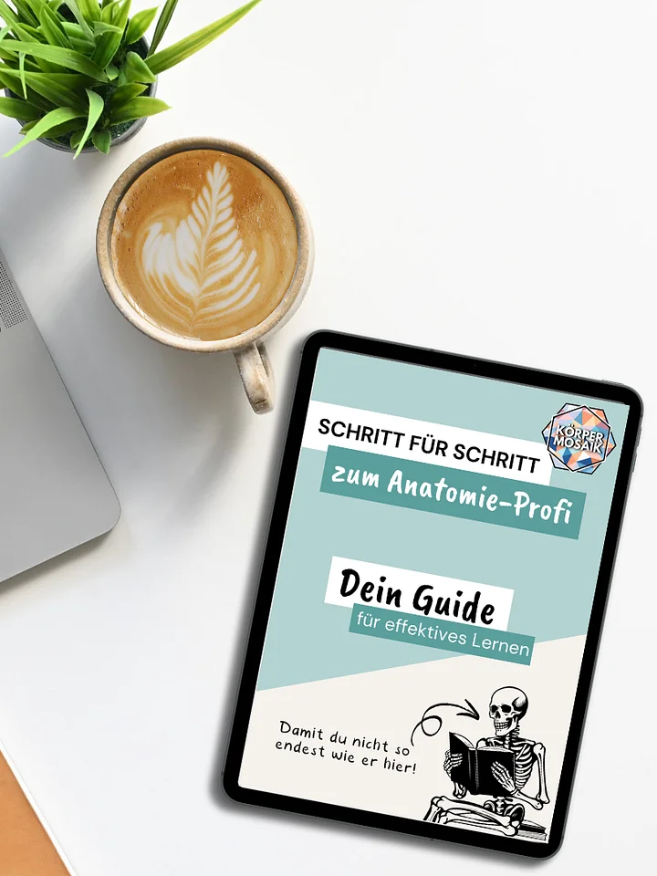 E-Book: Schritt für Schritt zum Anatomie-Profi product image (1)