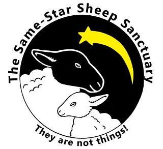 Same Star Sheep Sanctuary