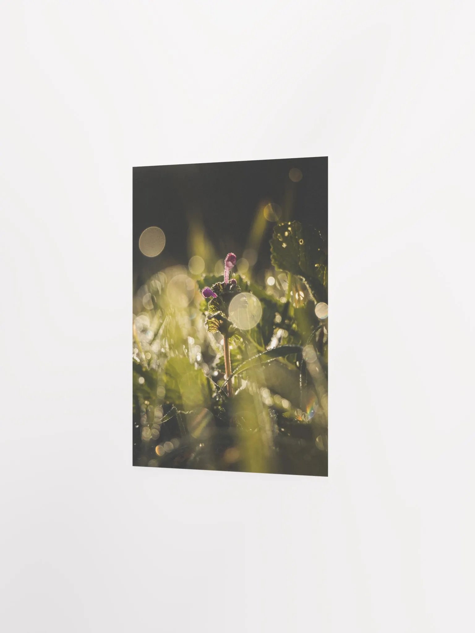 Green Heaven product image (5)