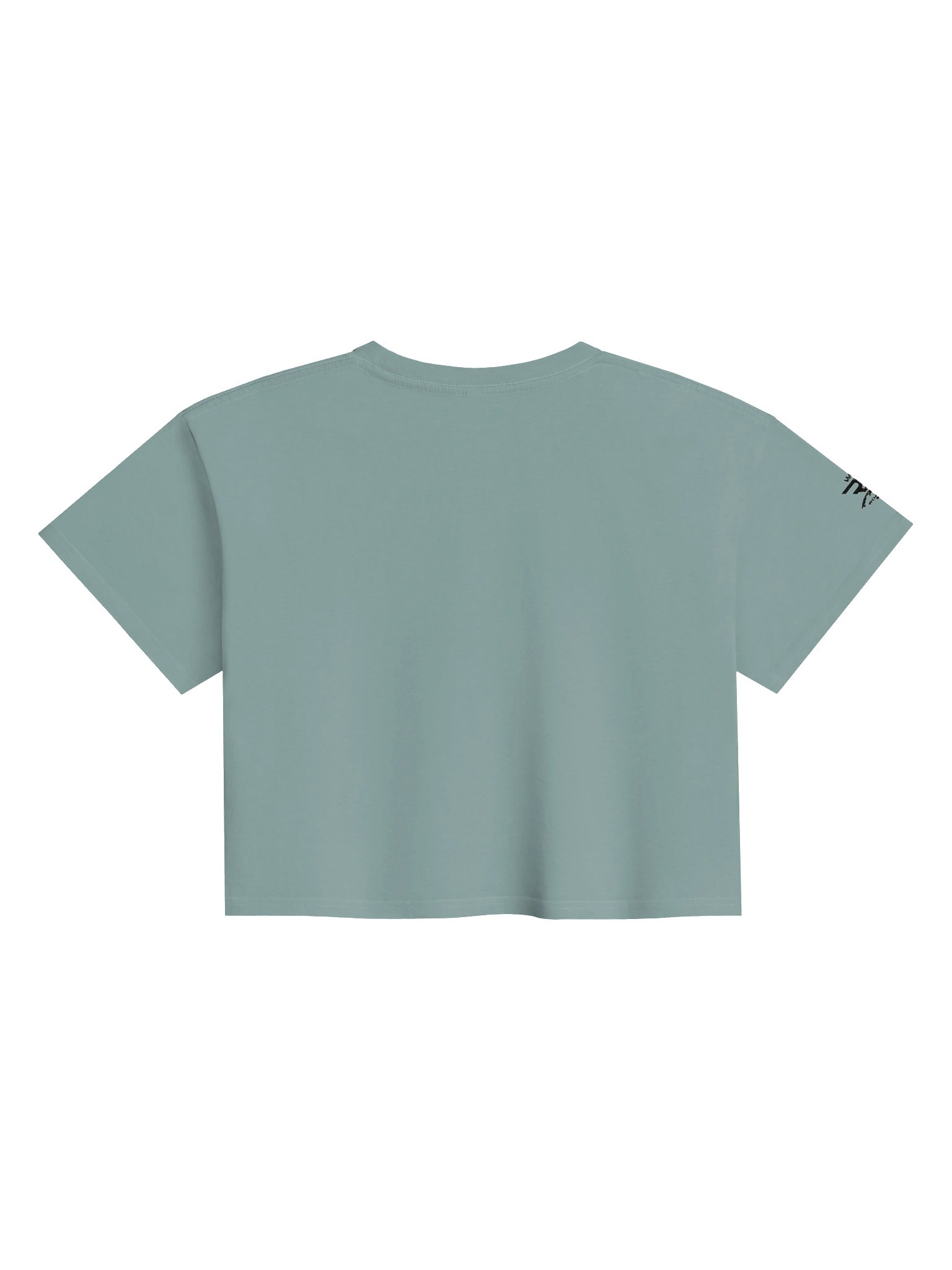 Roy Jones Jr Women’s Premium Crop Top – RJJ World Edition product image (5)