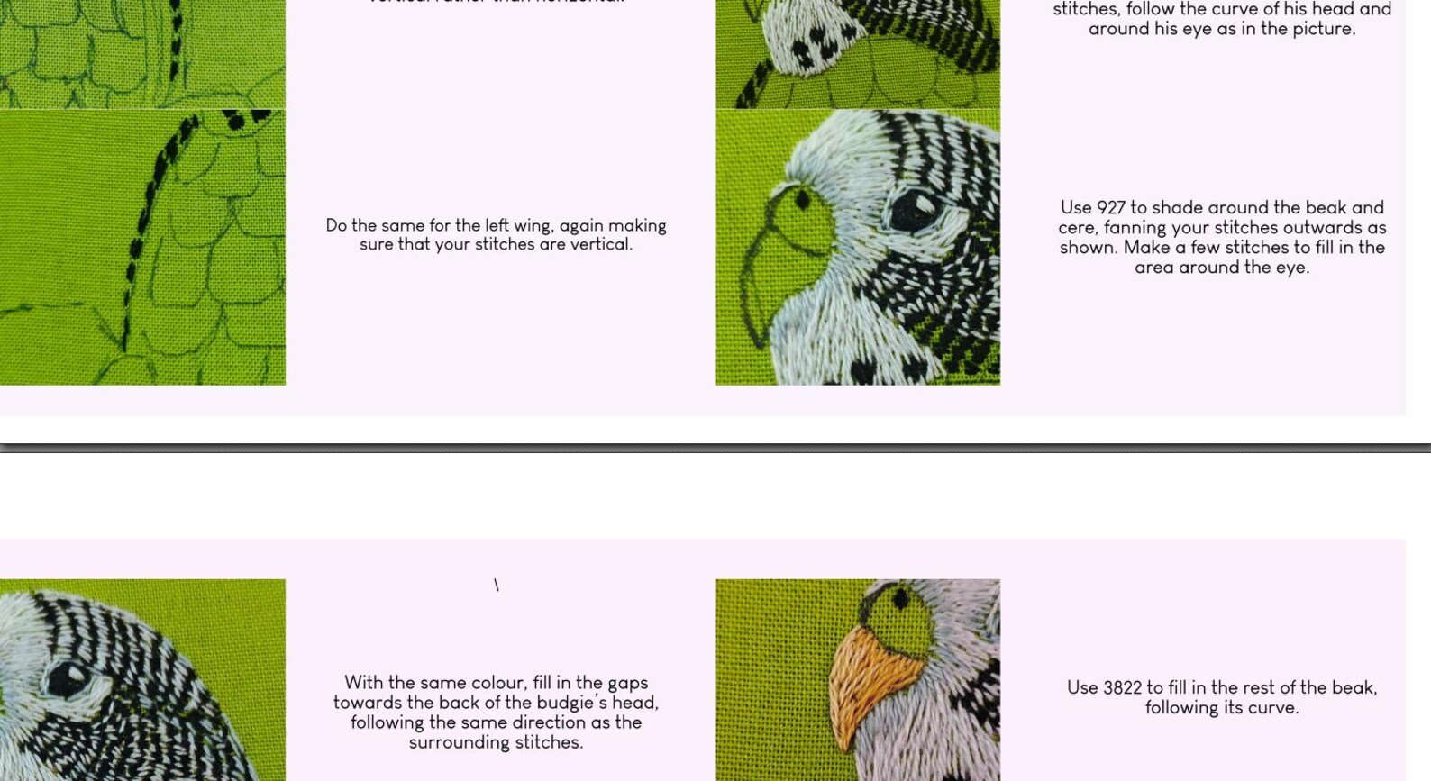 A Bouquet of Budgie PDF digital thread painting pattern product image (4)