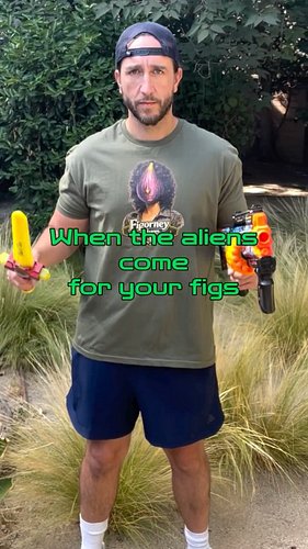 In space, no one can hear you Fig. 

#figs #aliens #squirrel #moviequotes #parody