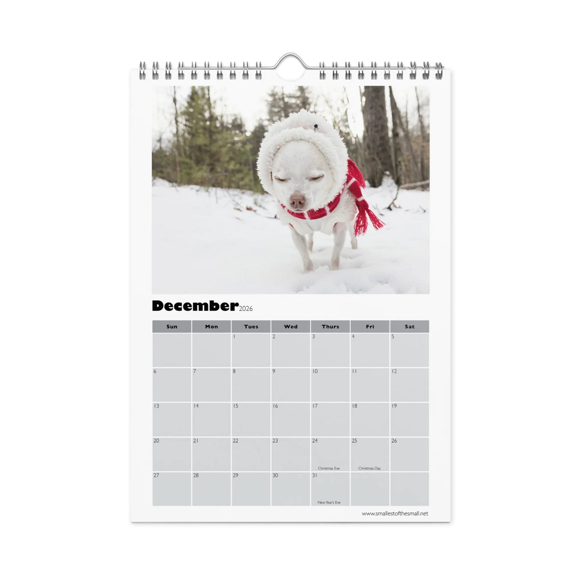 Smallest of the Small 2026 Calendar product image (4)
