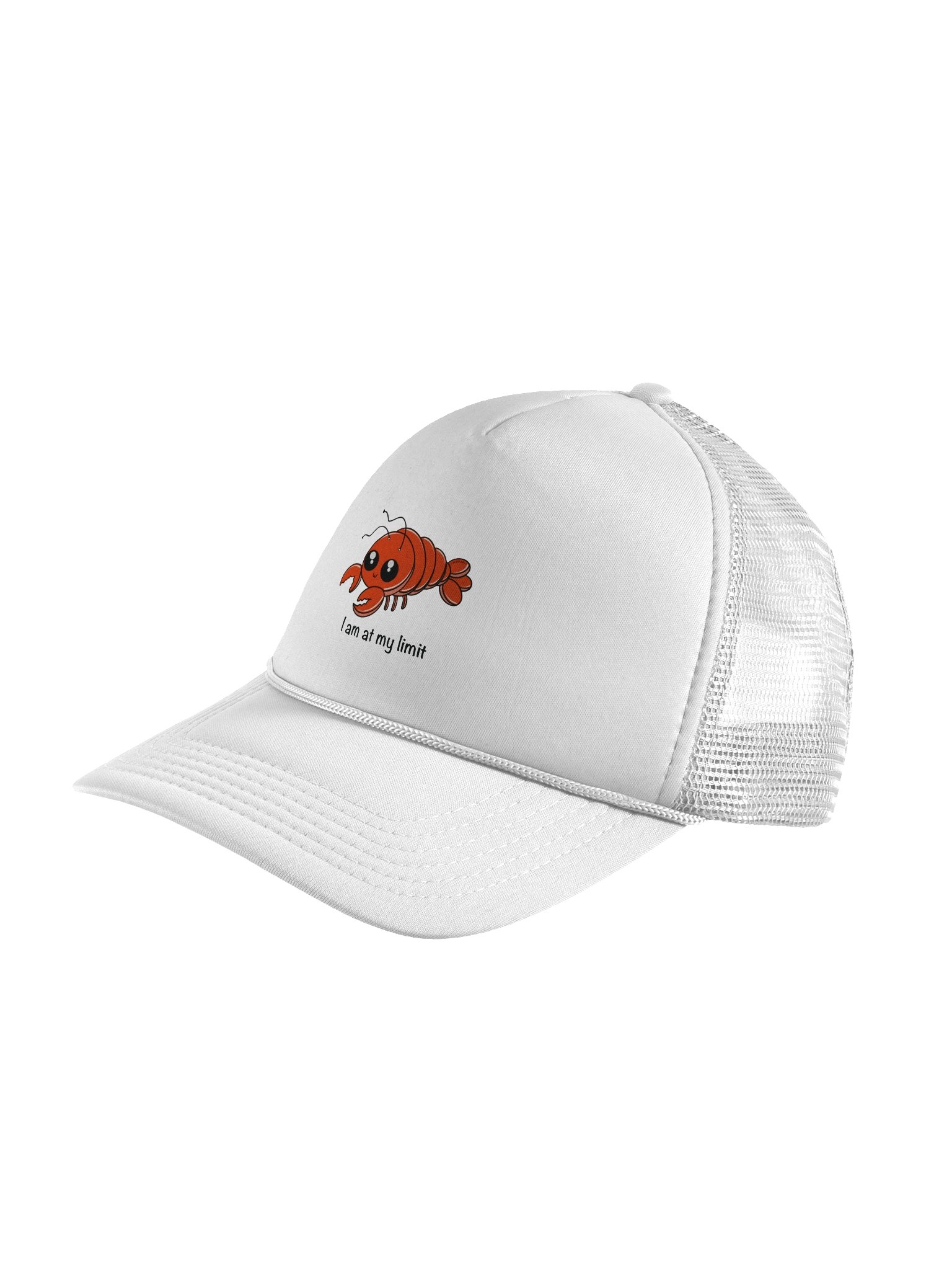 At My Limit Foam Trucker Hat product image (4)