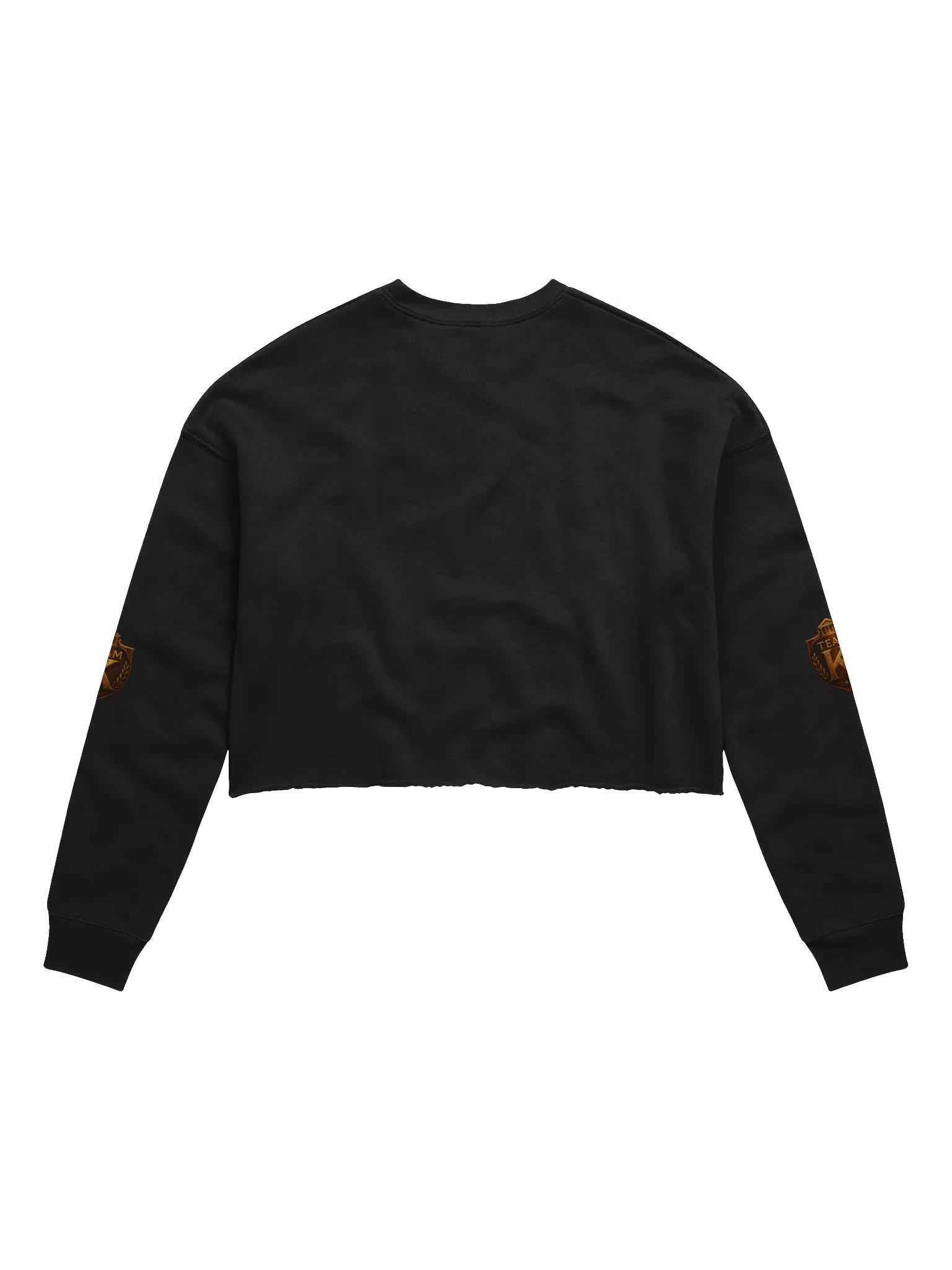 Team K V-5 Crop Sweatshirt product image (2)