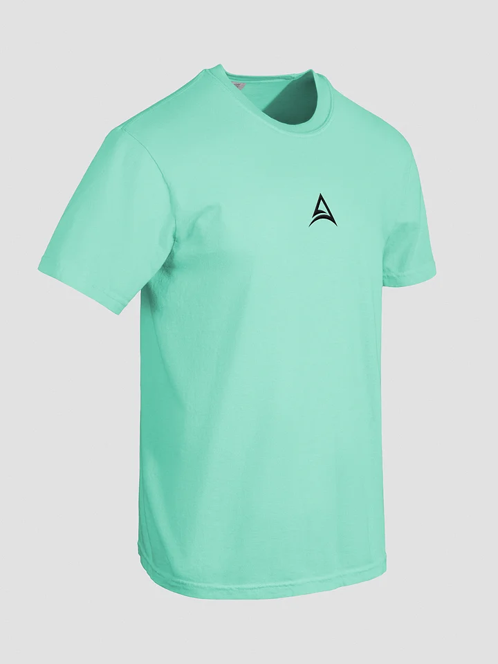 ASCENDANCY T-Shirt // Logo Black product image (20)