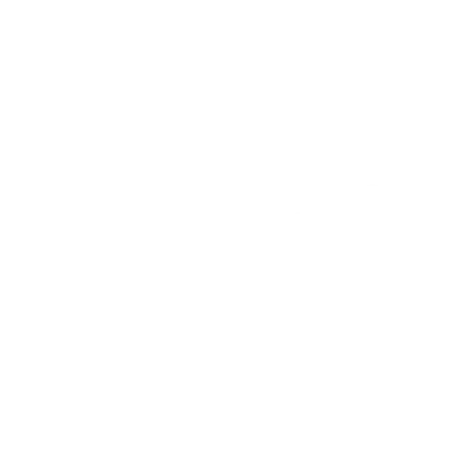 Payment Security
