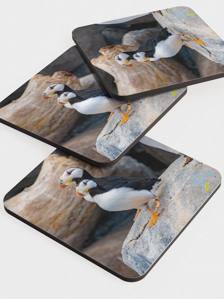 So Puffin Cute Glossed Cork Coasters product image (2)