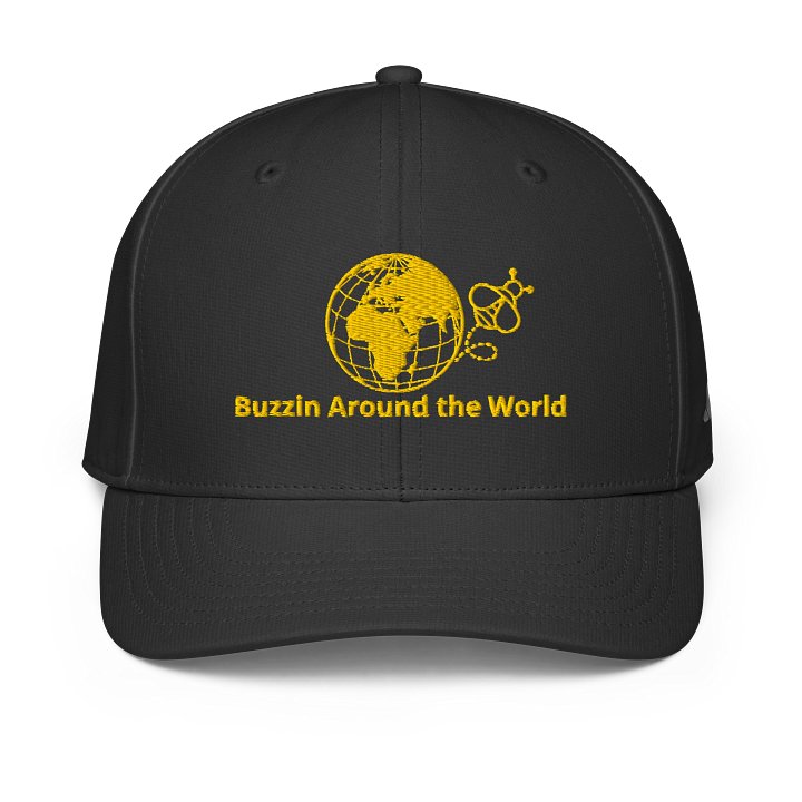 Buzzin Around the World Hat product image (2)