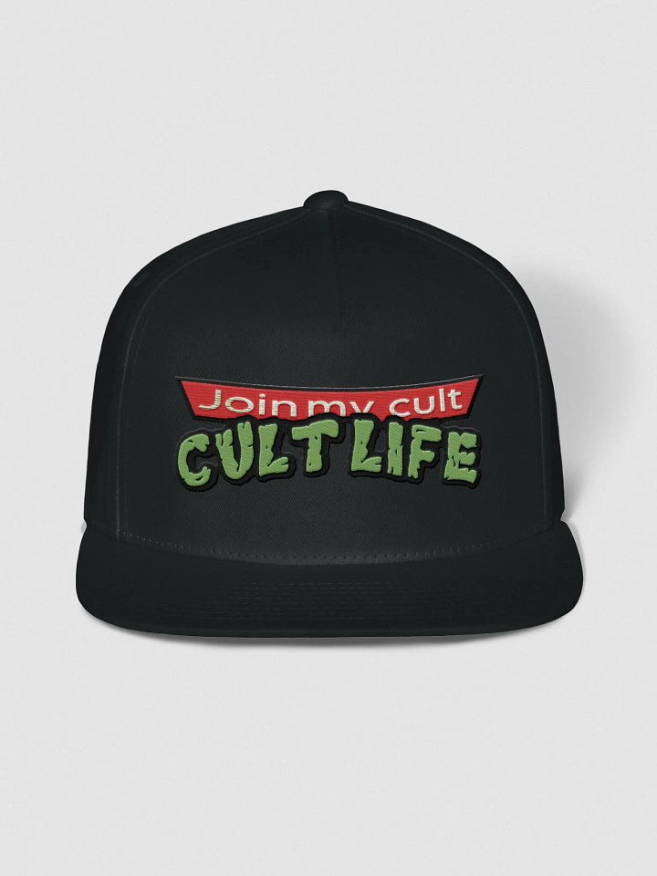 CULT LIFE TURTLES HAT product image (1)