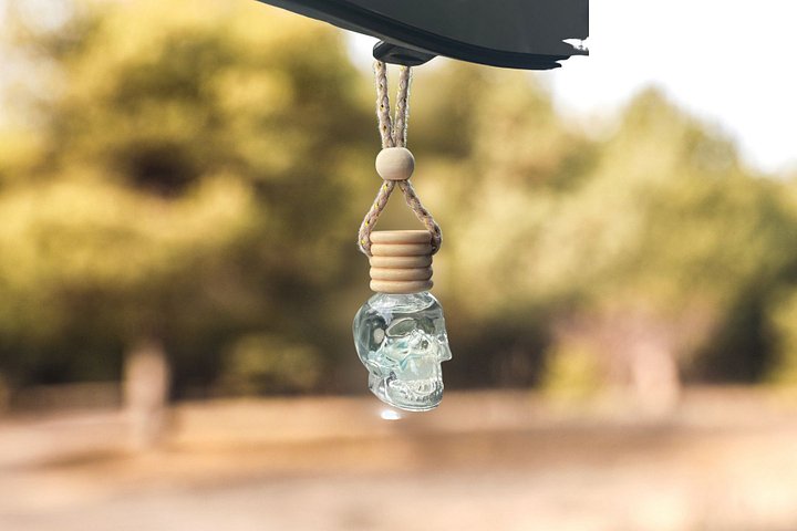 Luxury Skull car freshener(BOGO) product image (2)