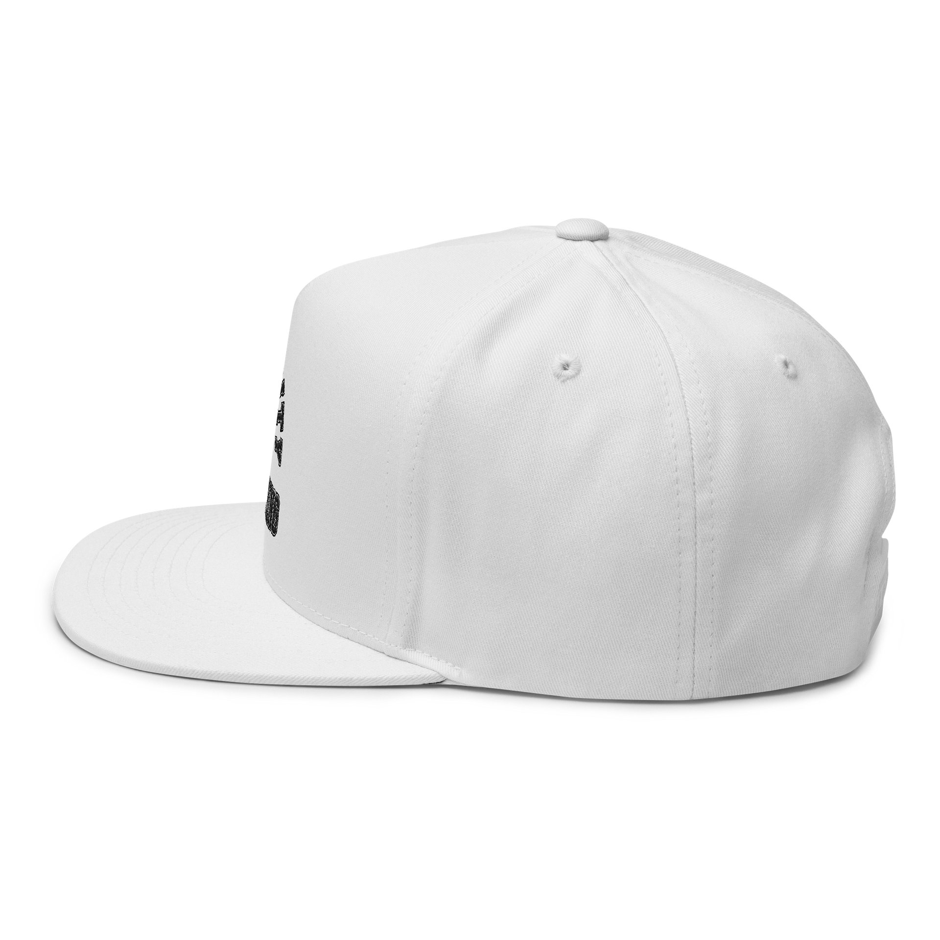 Classic collegiate hat product image (4)