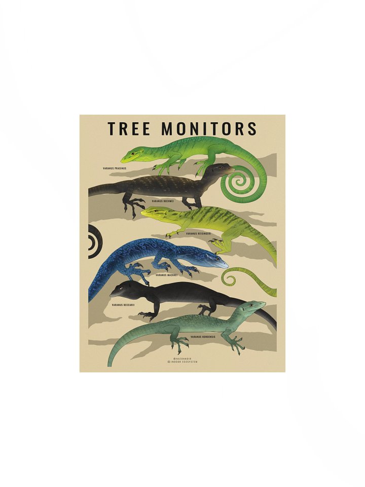 VARANUS TREE MONITOR POSTER (CREAM) product image (1)