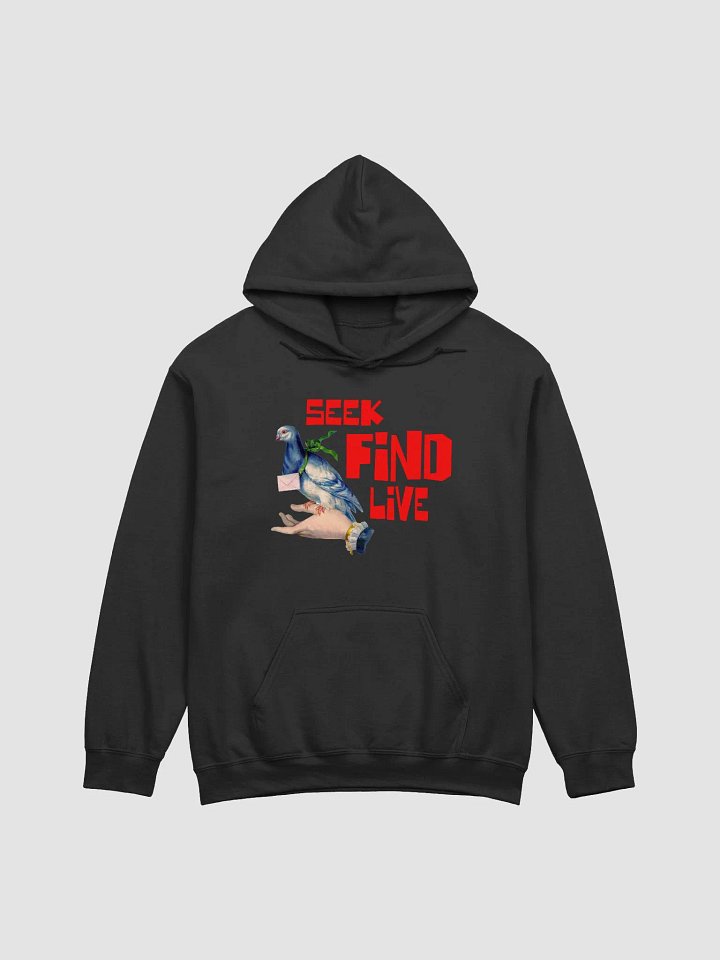 Seek Find Live Retro Style Hoodies product image (1)
