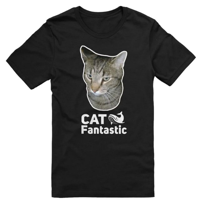 The Fantastic