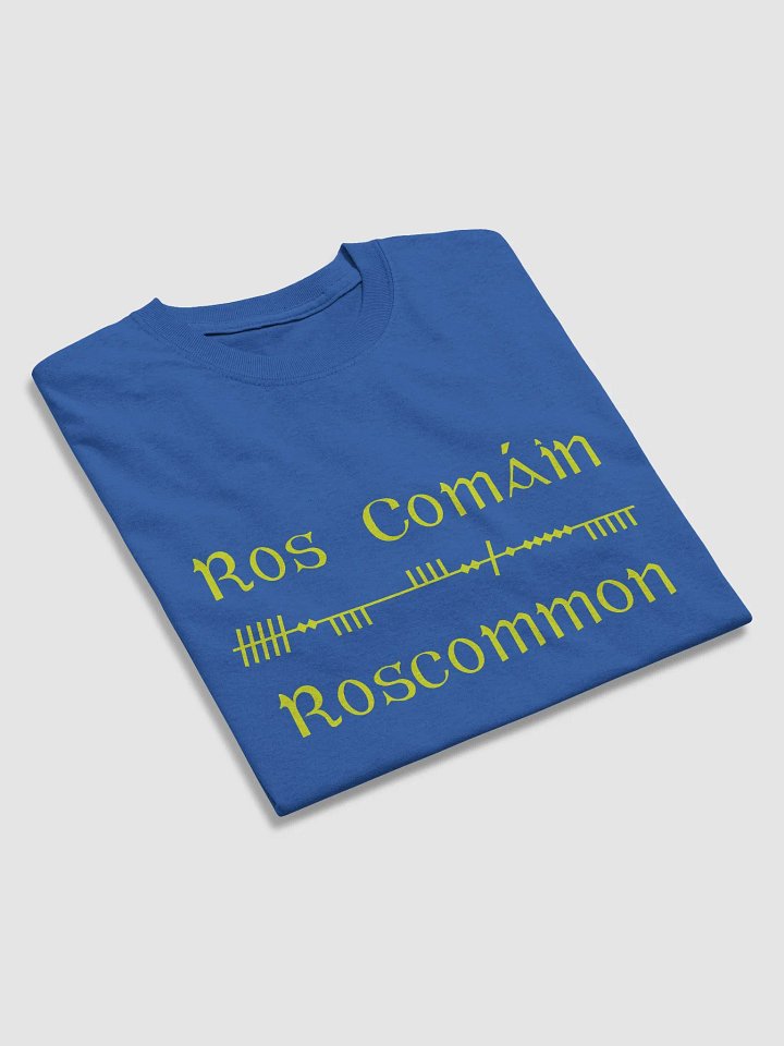 Roscommon/Ros Comáin Scholastic style Ogham blue printed T-shirt product image (2)