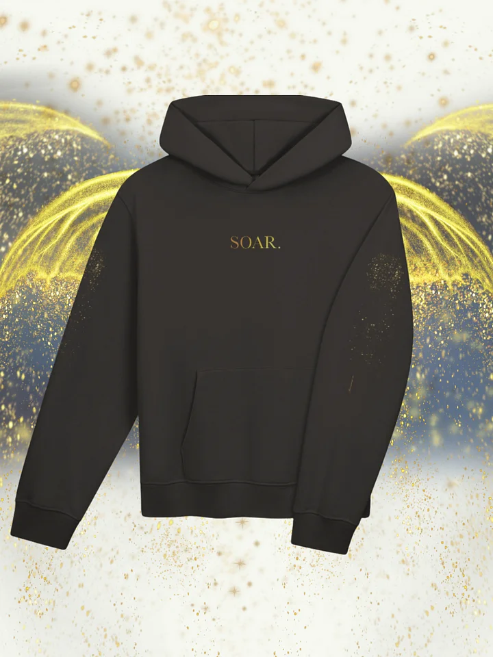 "SOAR" Hoodie [Street Team] product image (2)