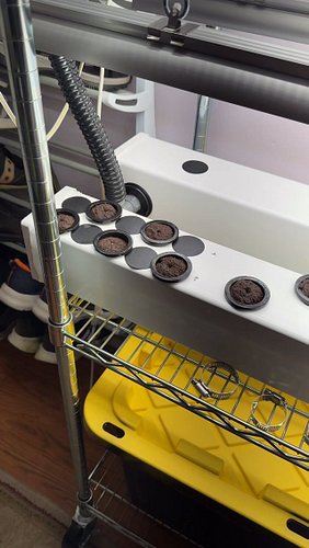 Finally got my hydroponics system all set up, water tight, and seeded!