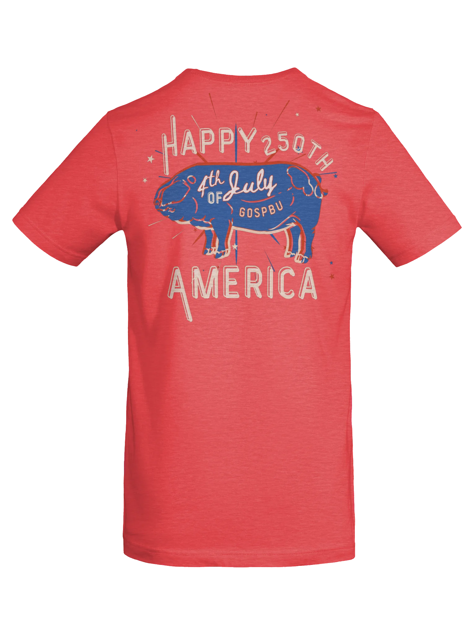 Happy 250th 4th of July Pig Tee product image (6)