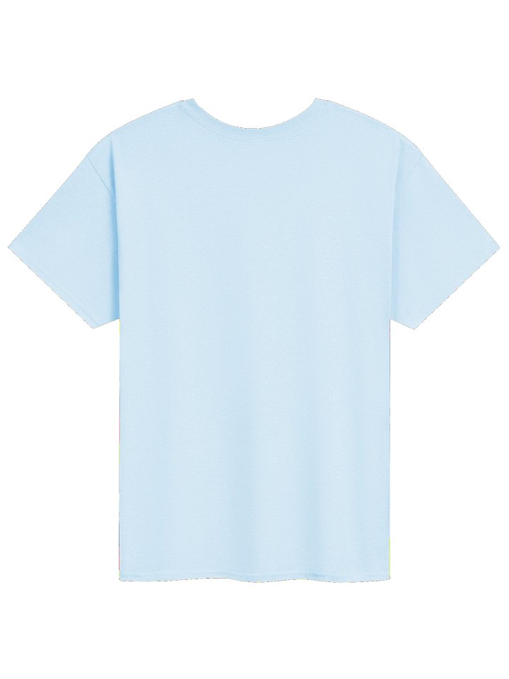 CaribbeanApples - Saltfish | Heavyweight T-Shirt | 9 Colors product image (2)