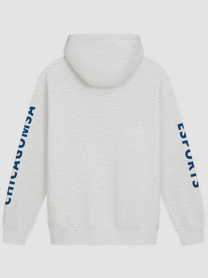 New CMSA Logo Hoodie product image (7)