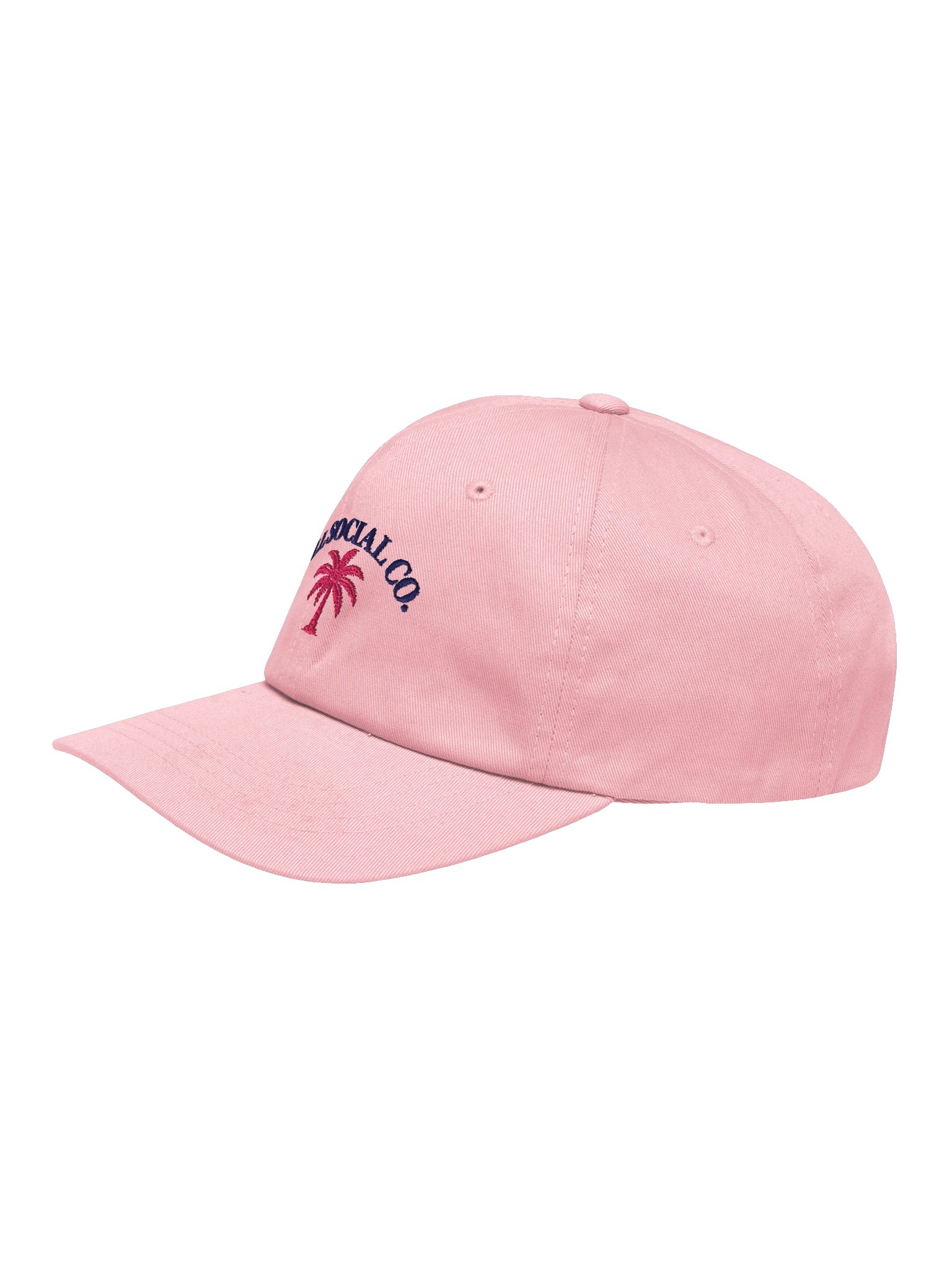 LL Social Co. Coastal Palm Cap — Pink Palm product image (14)