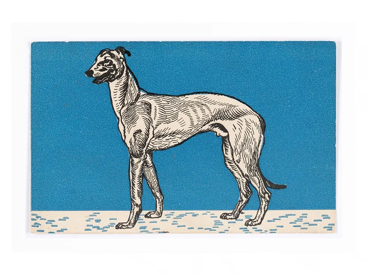 Greyhound II Poster product image (1)
