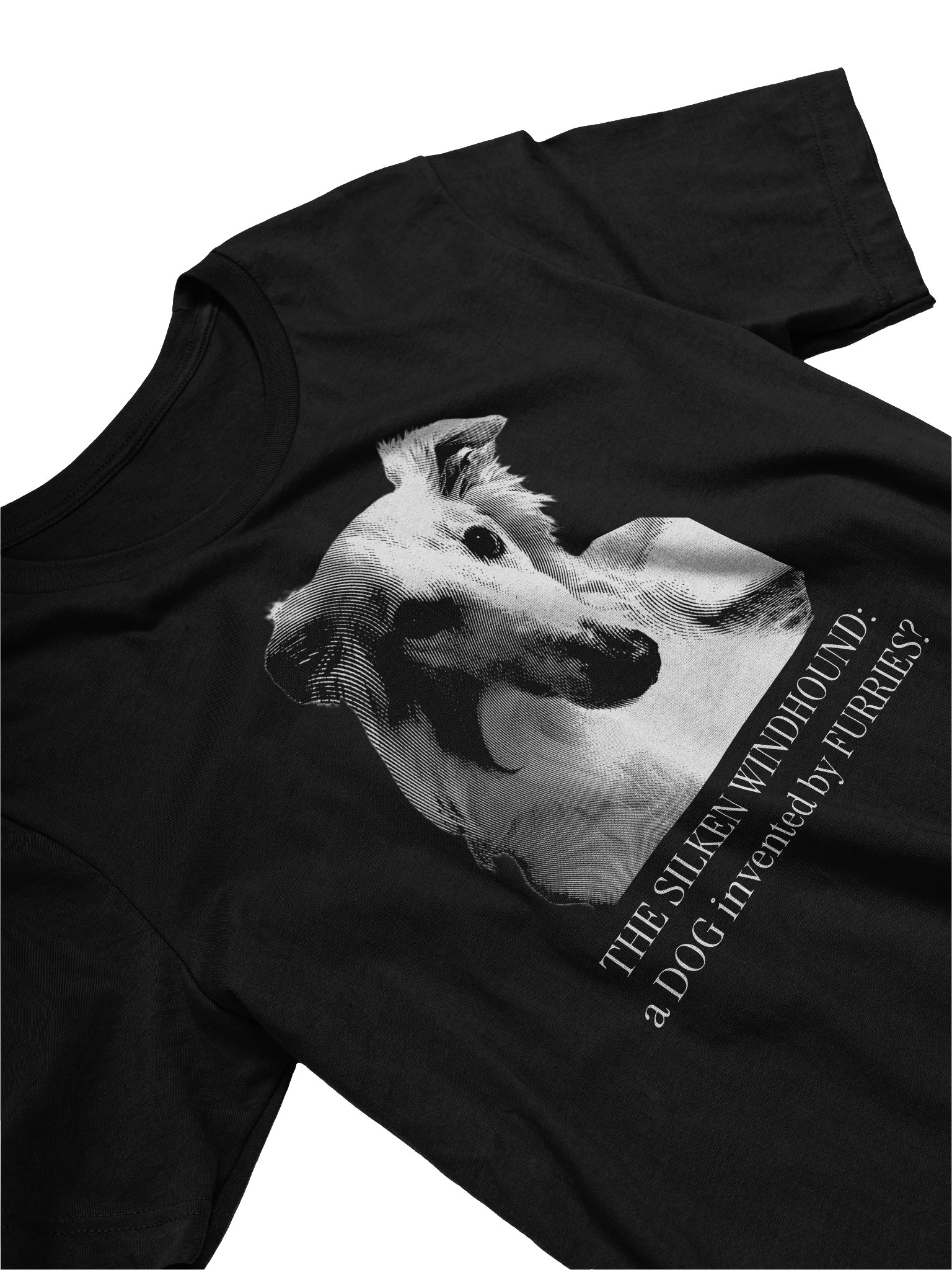 Controversial Origins - T-Shirt product image (3)