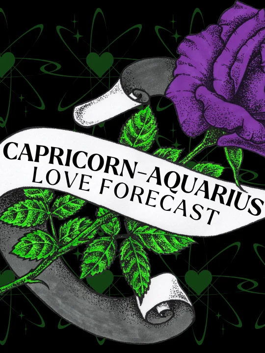 capricorn aquarius cusp ♥ love tarot forecast ♥ august 2026 product image (1)