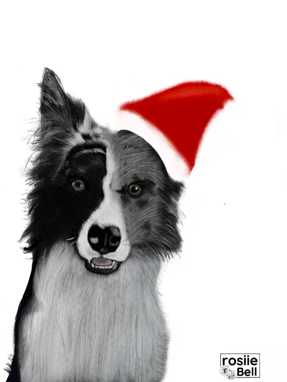 Border Collie Christmas product image (3)