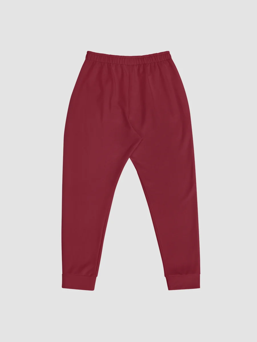Project Winter Men's Joggers (Red) product image (4)