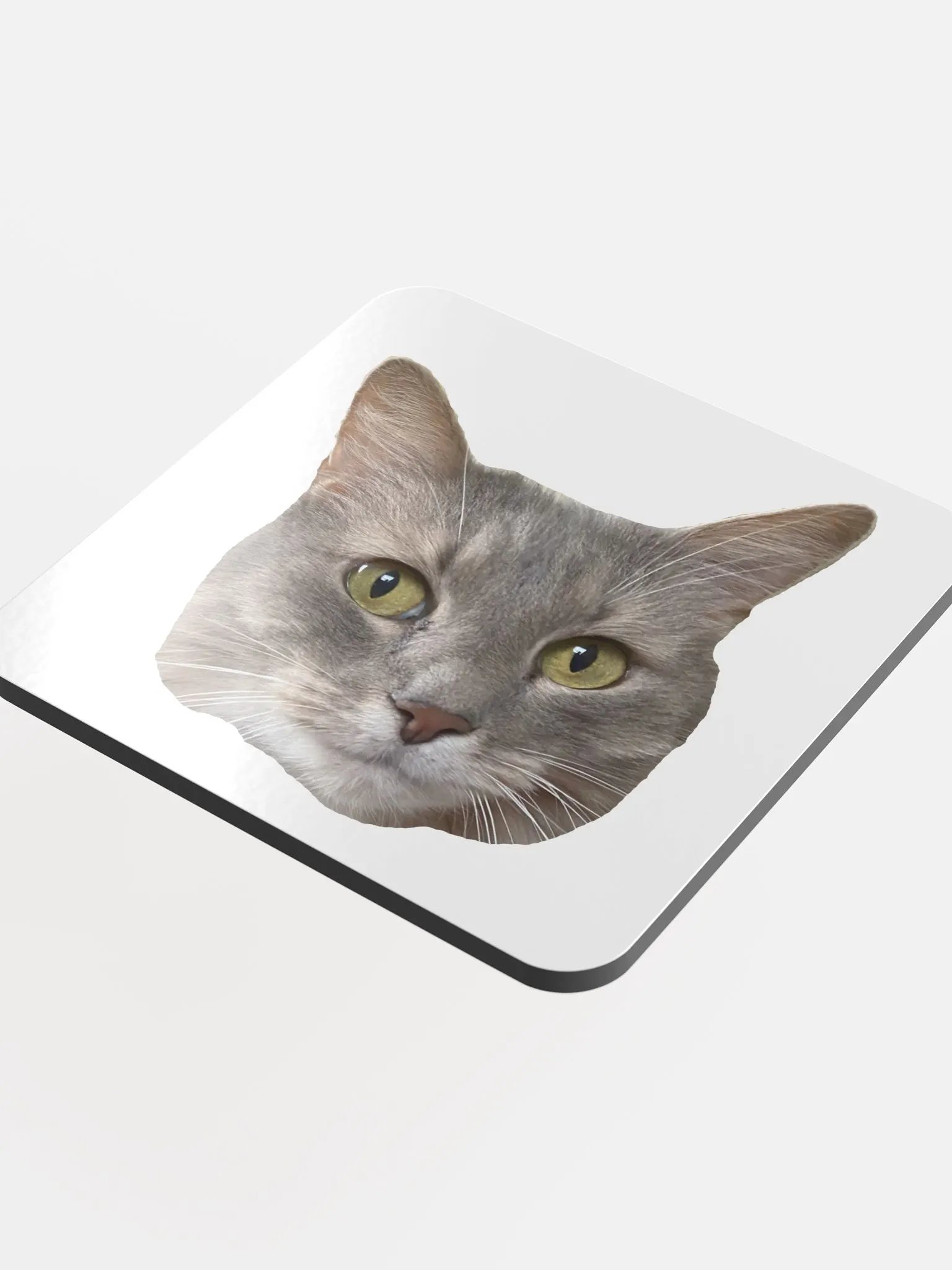 Cas Coaster product image (4)