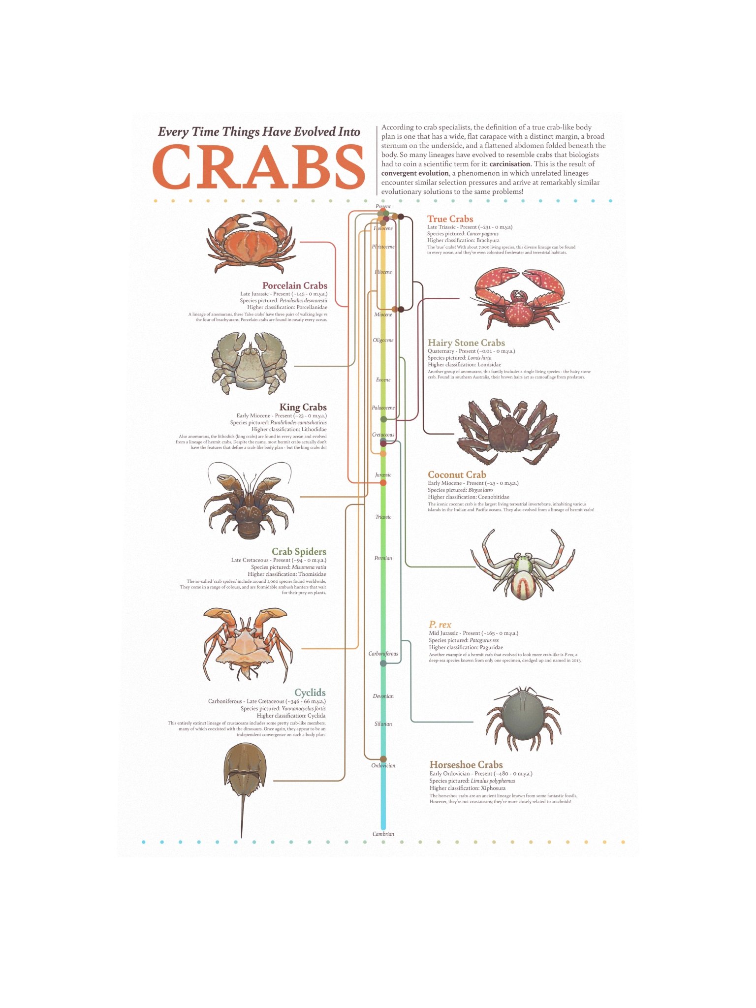 Crab Convergence Poster product image (1)
