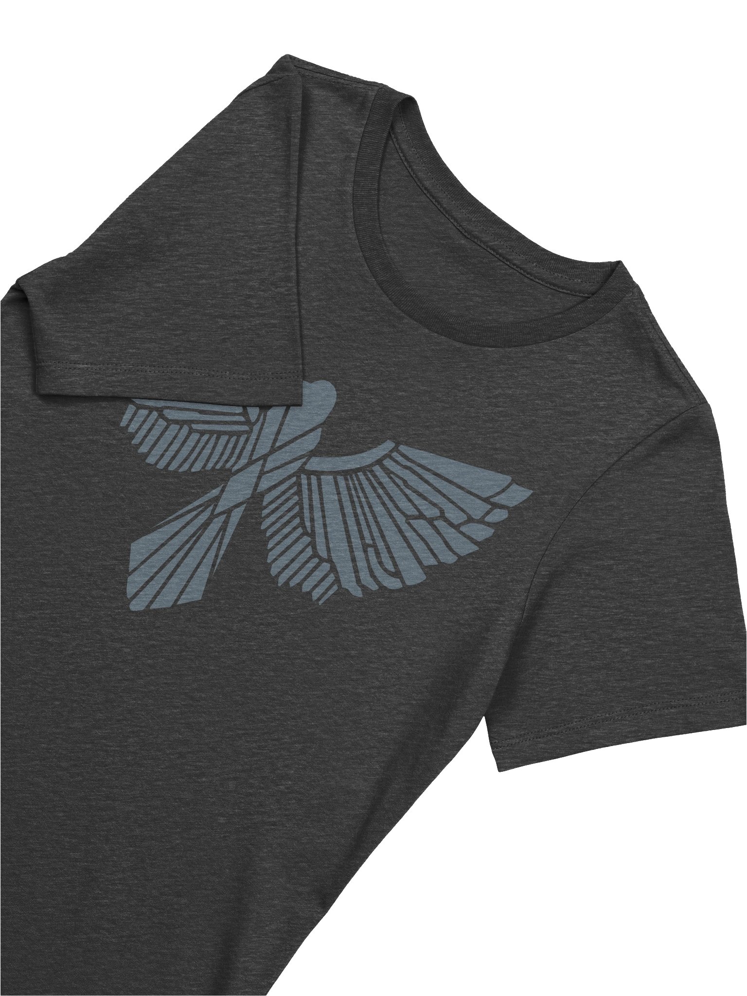Israel Nash Eagle Shirt (Women’s) product image (5)