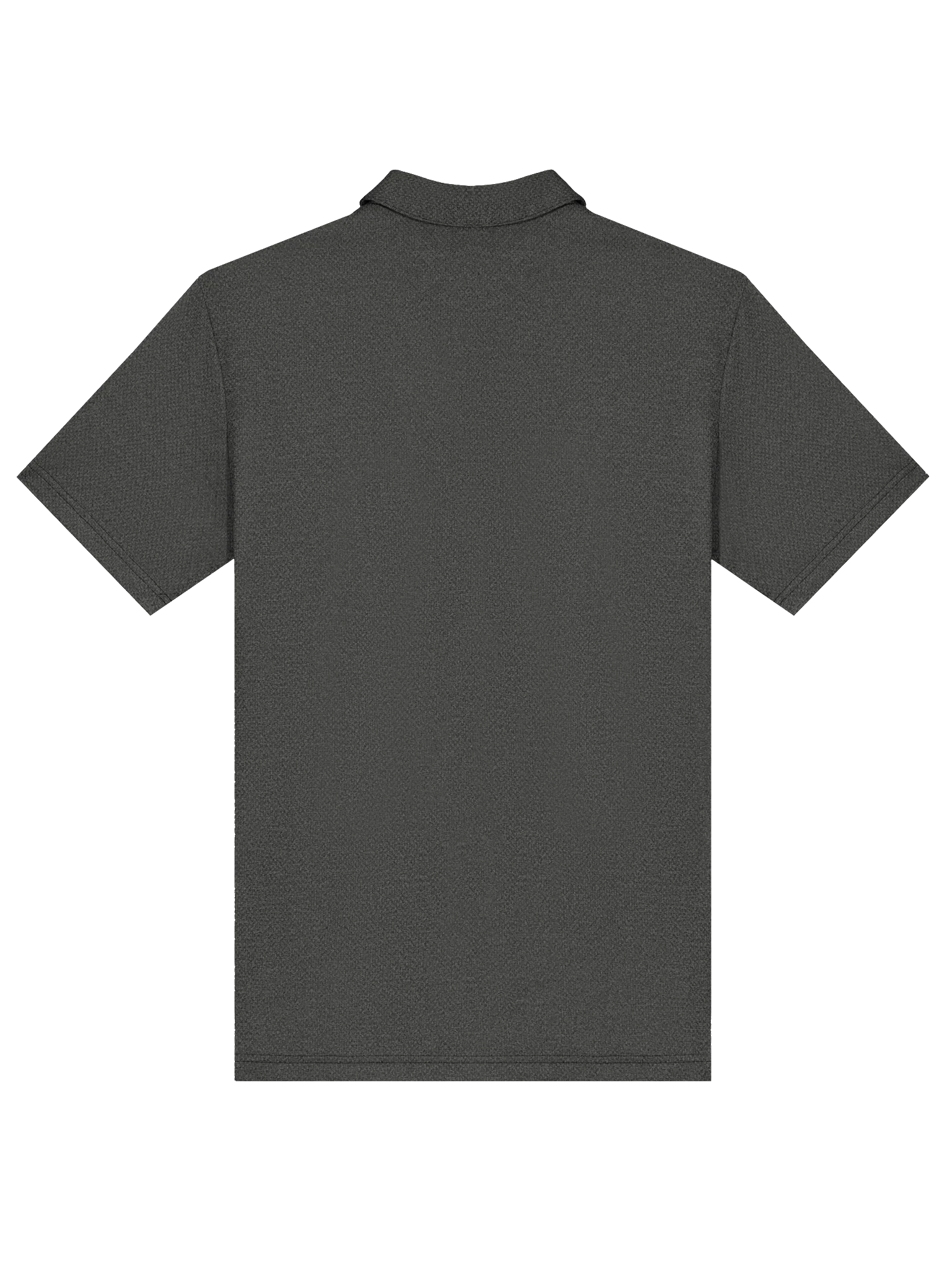 The Forge Polo 2 view 2