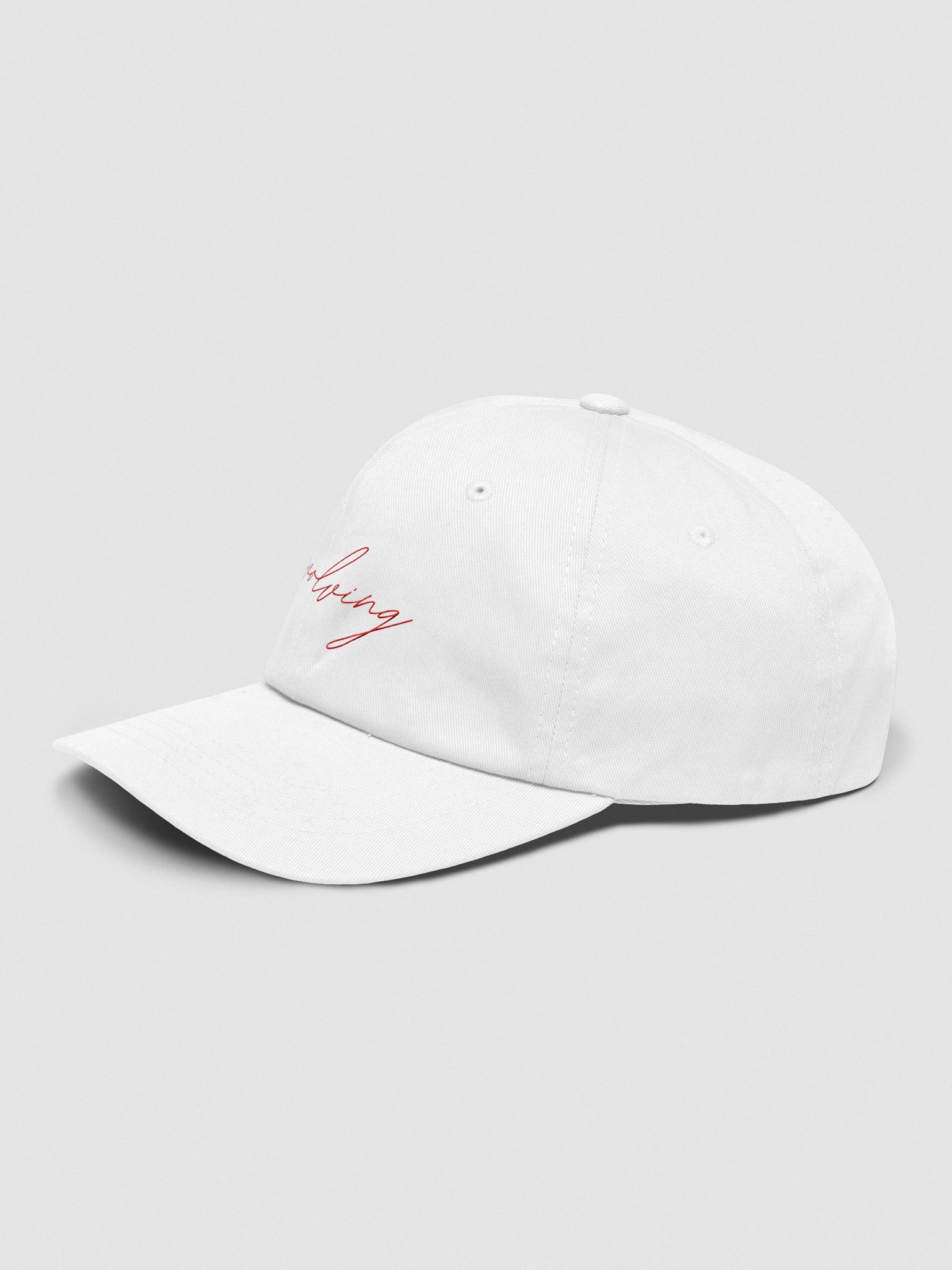 evolving hat white product image (3)