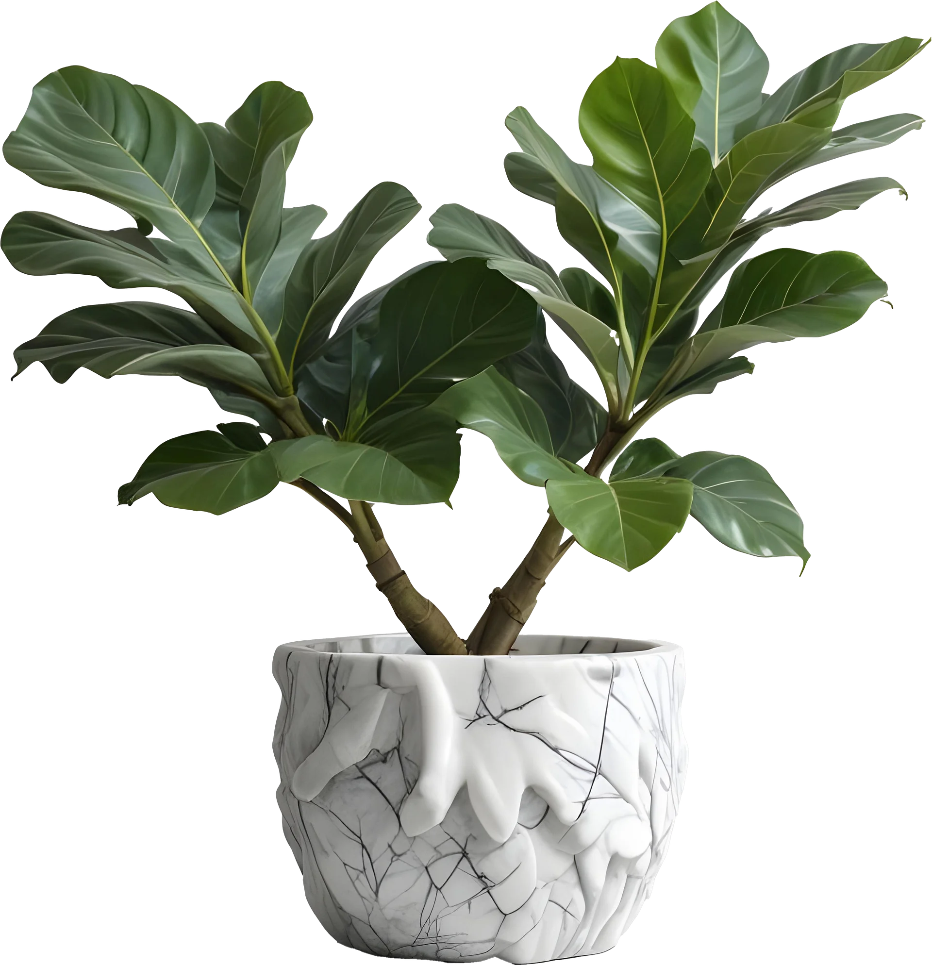 Marble Eternal – Fiddle Leaf Marble Pot PNG product image (1)