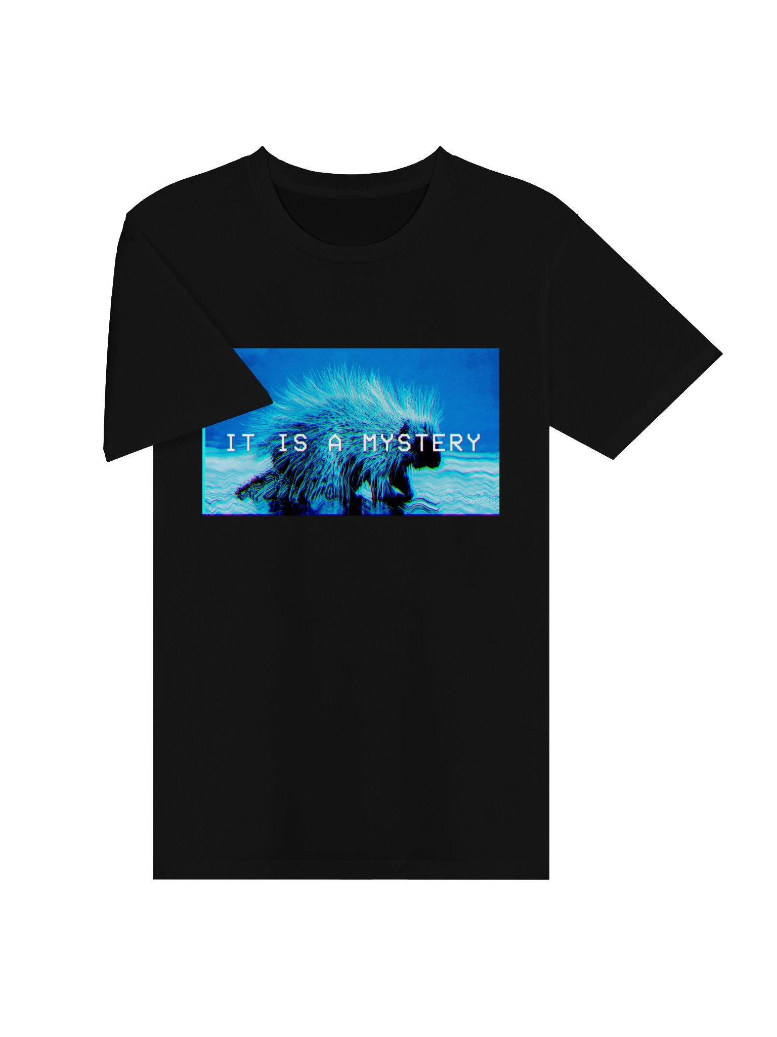 It Is A Mystery product image (8)
