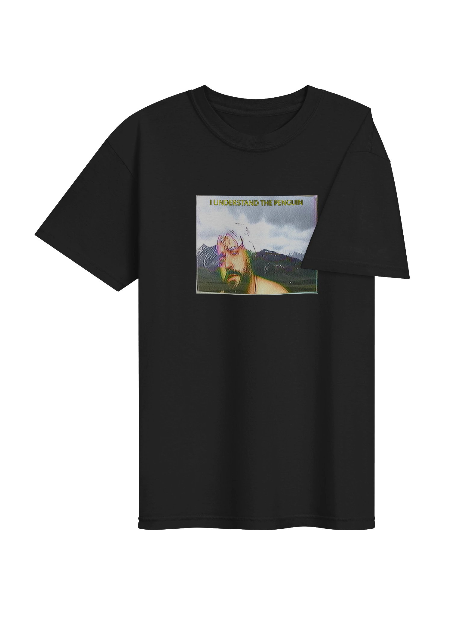 I UNDERSTAND THE PENGUIN SHIRT product image (68)