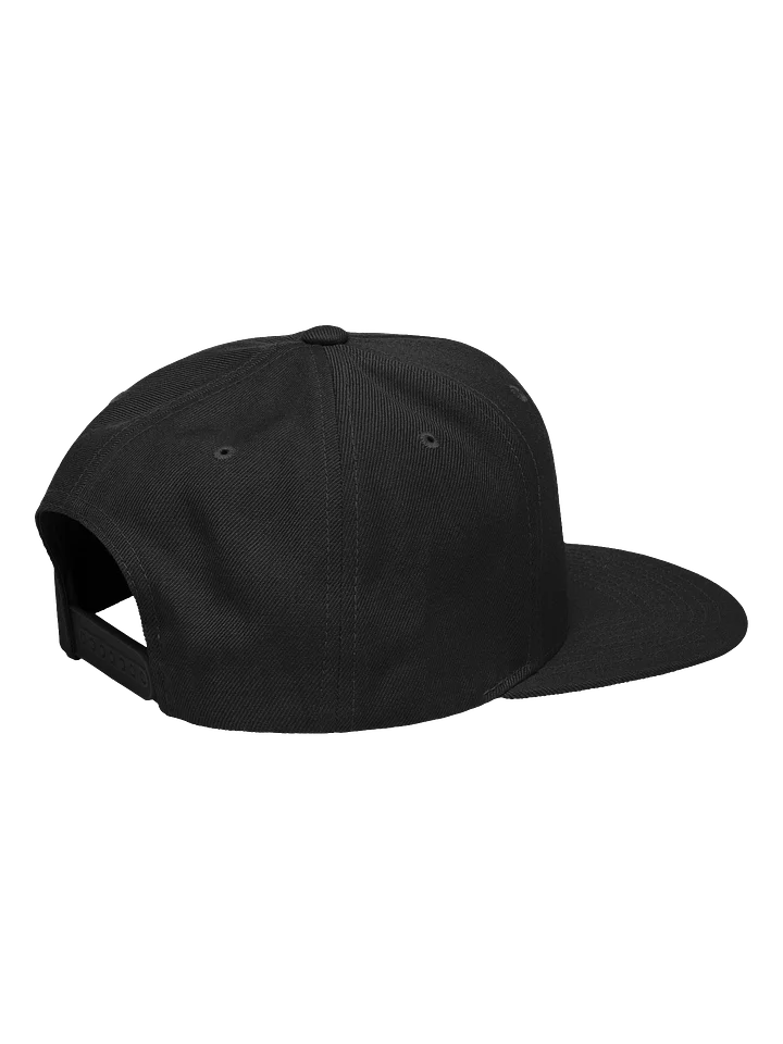 Acronym Logo Snapback product image (2)