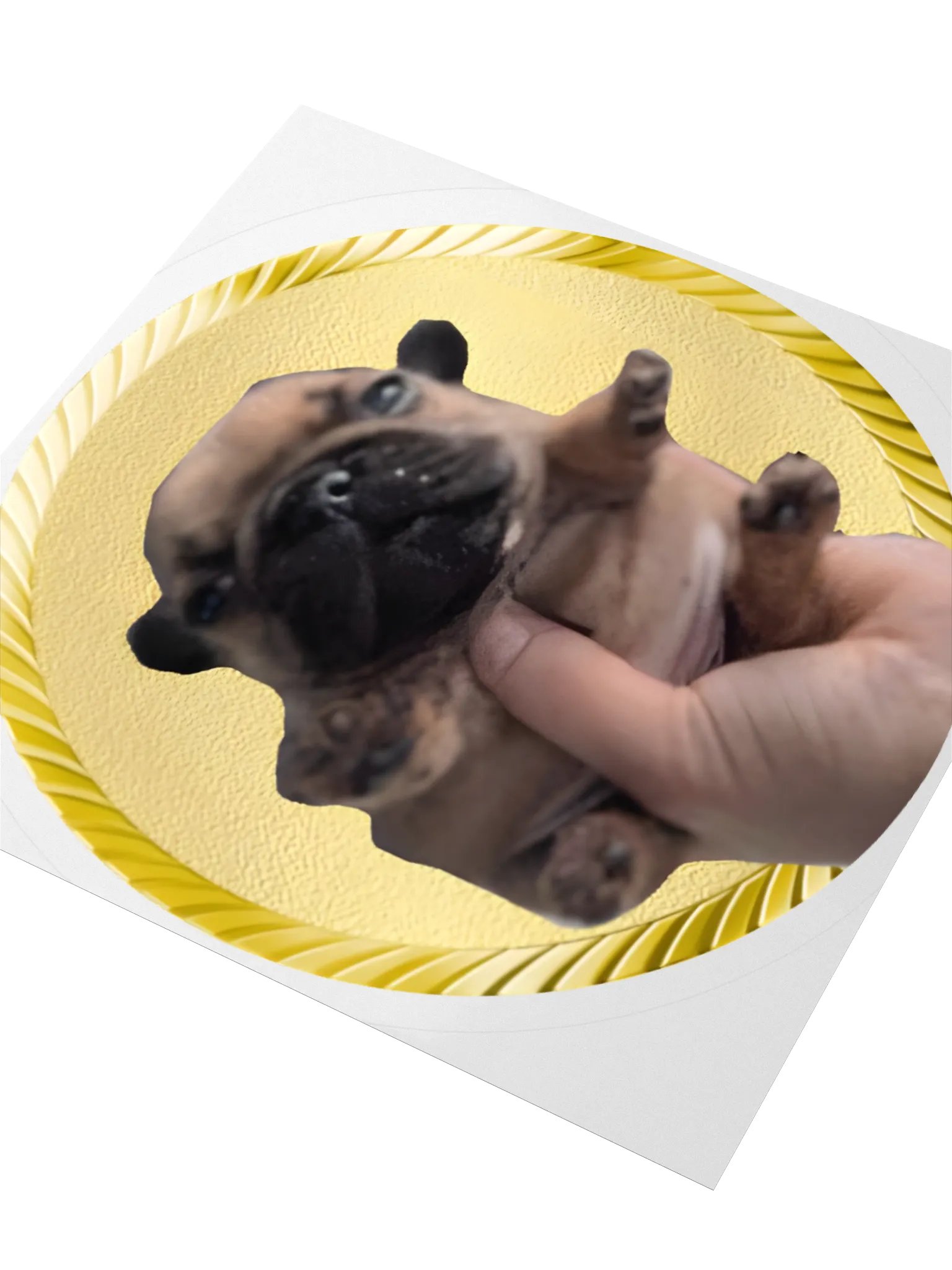 the dog STICKERS! product image (10)