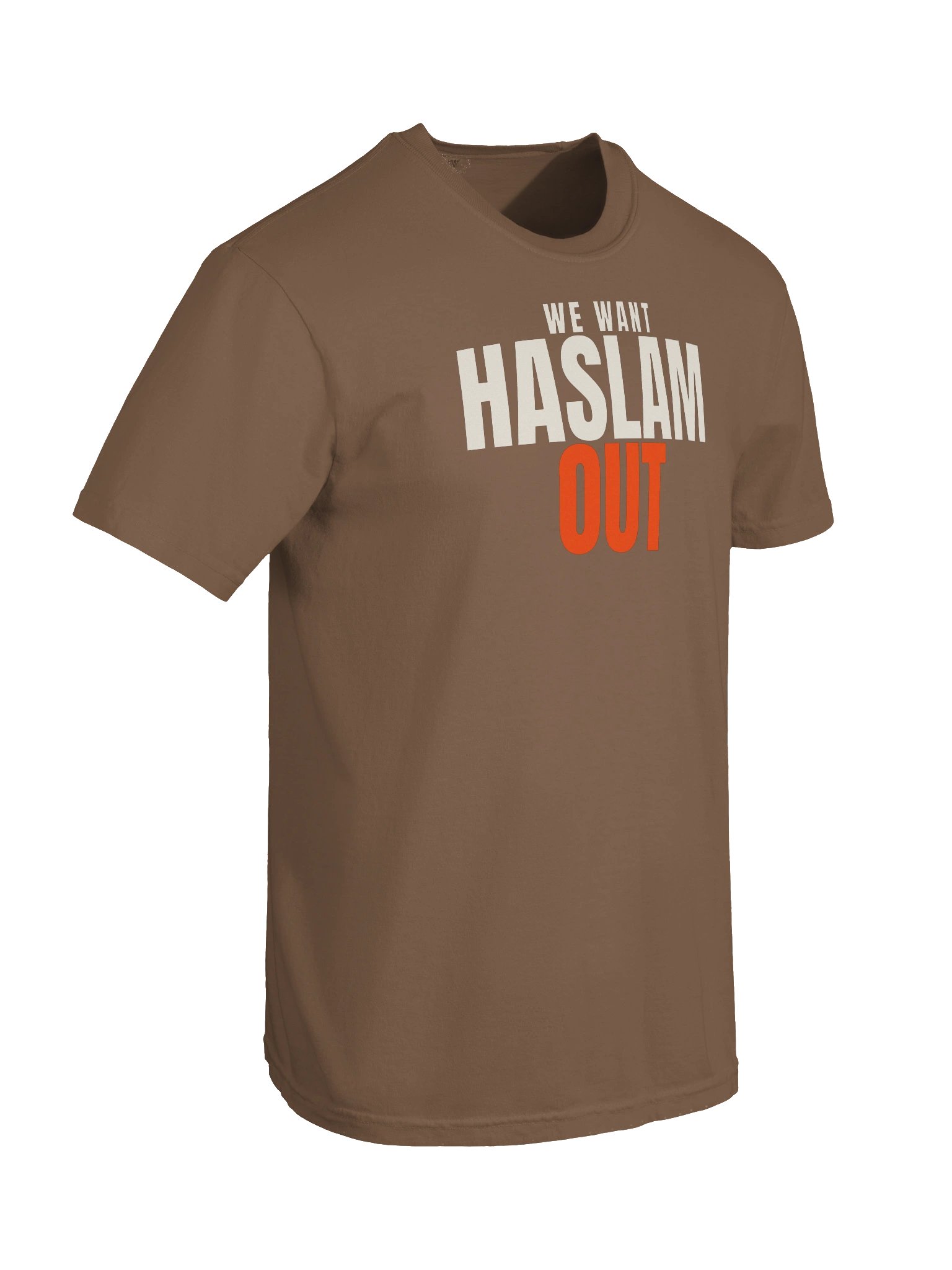 WE WANT HASLAM OUT Tee - Garment-Dyed Heavyweight product image (7)